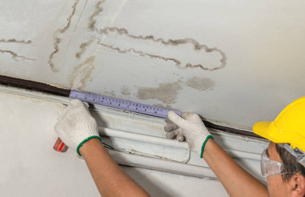 Reliable Structural Drying contractor in Millington, MI by Water Damage Irwin